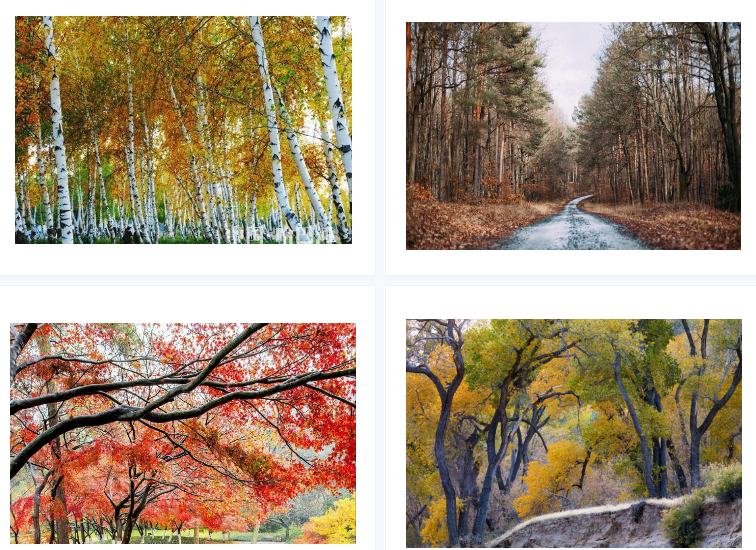 1700202525338237.png image.png