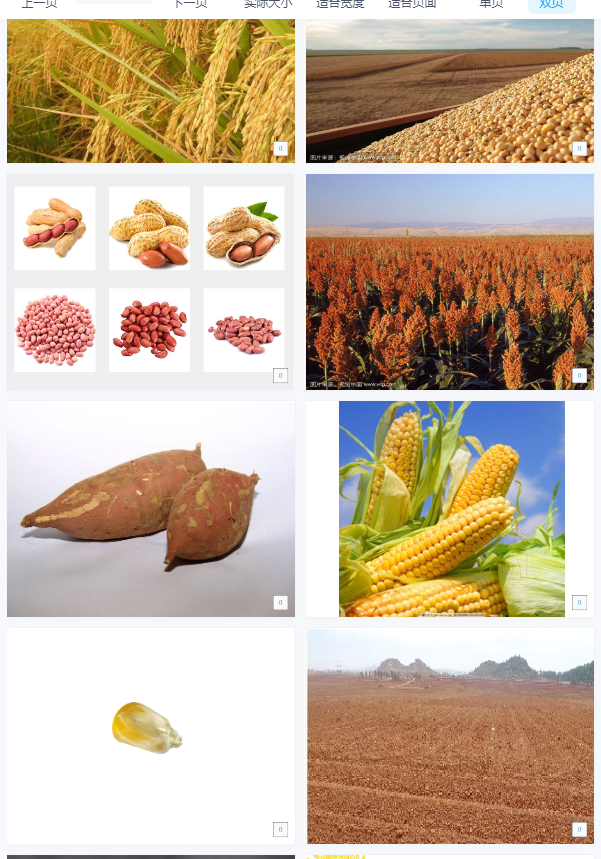 1700203102463721.png image.png