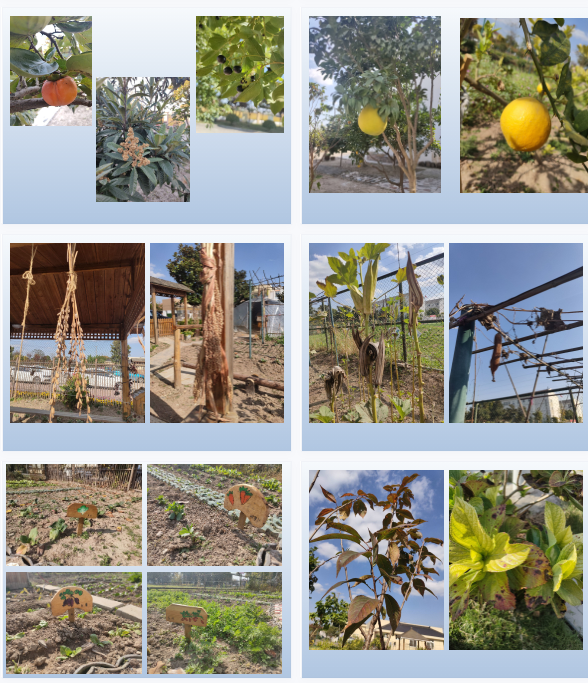 1700206486929026.png image.png