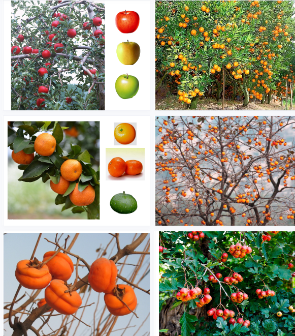 1700207122796692.png image.png