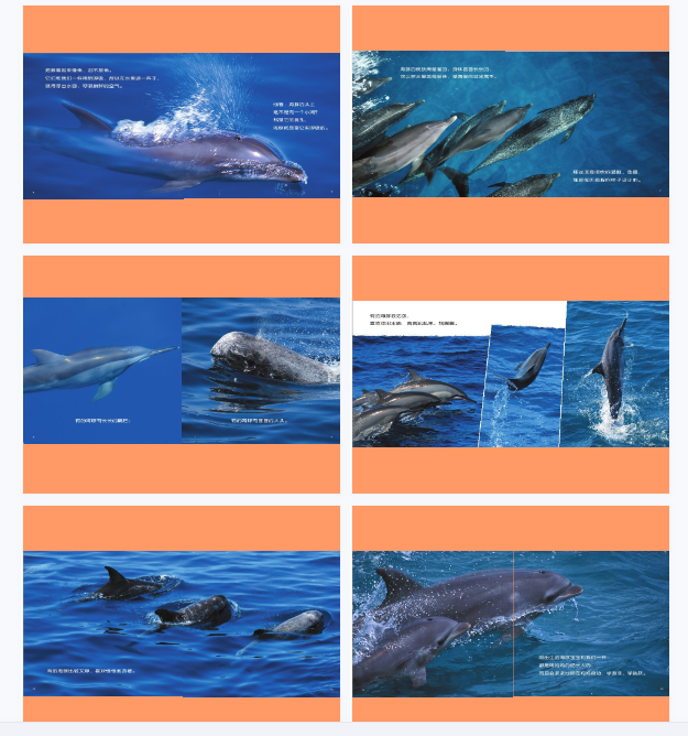 1702810818774119.png image.png