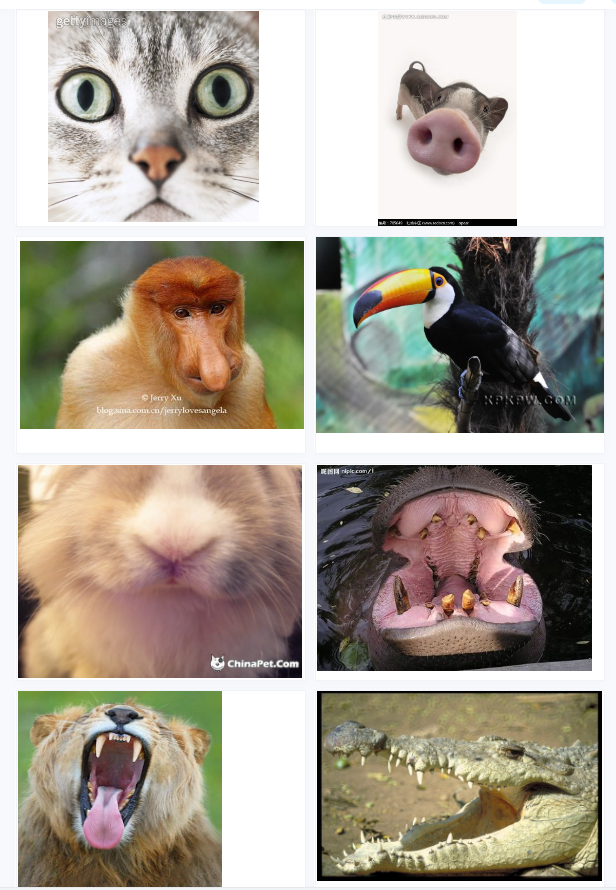 1704098749773559.png image.png