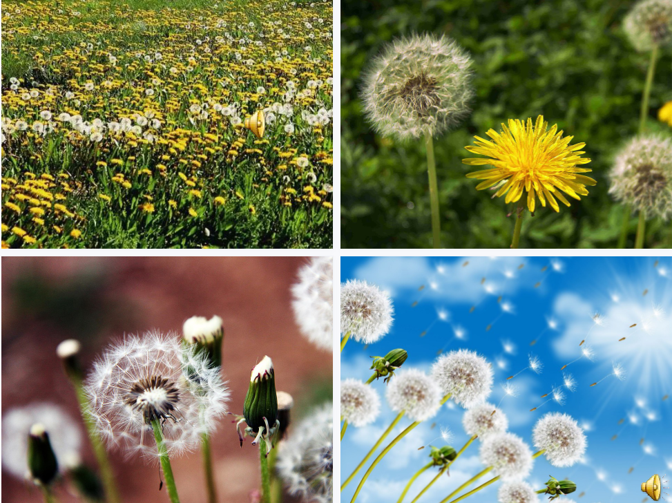 1704439947172789.png image.png