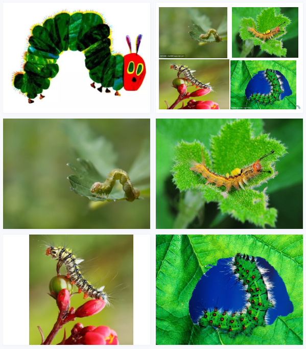 1704442291278303.png image.png