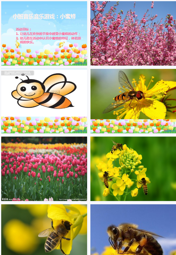 1704452647405417.png image.png