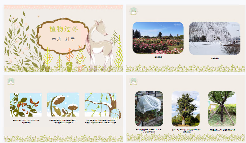 1705629226892614.png image.png