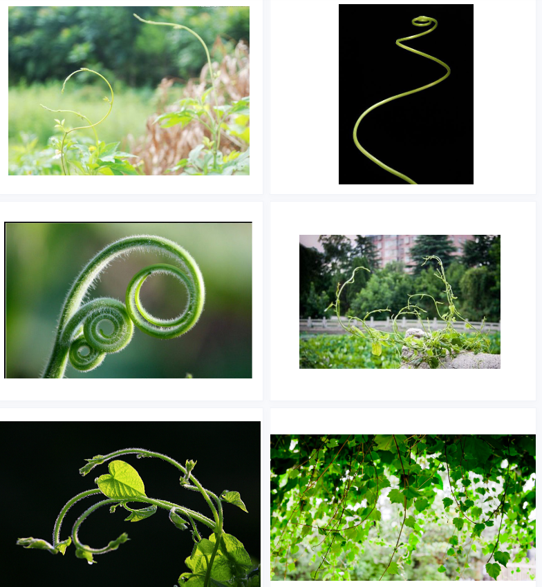 1706366004160123.png image.png