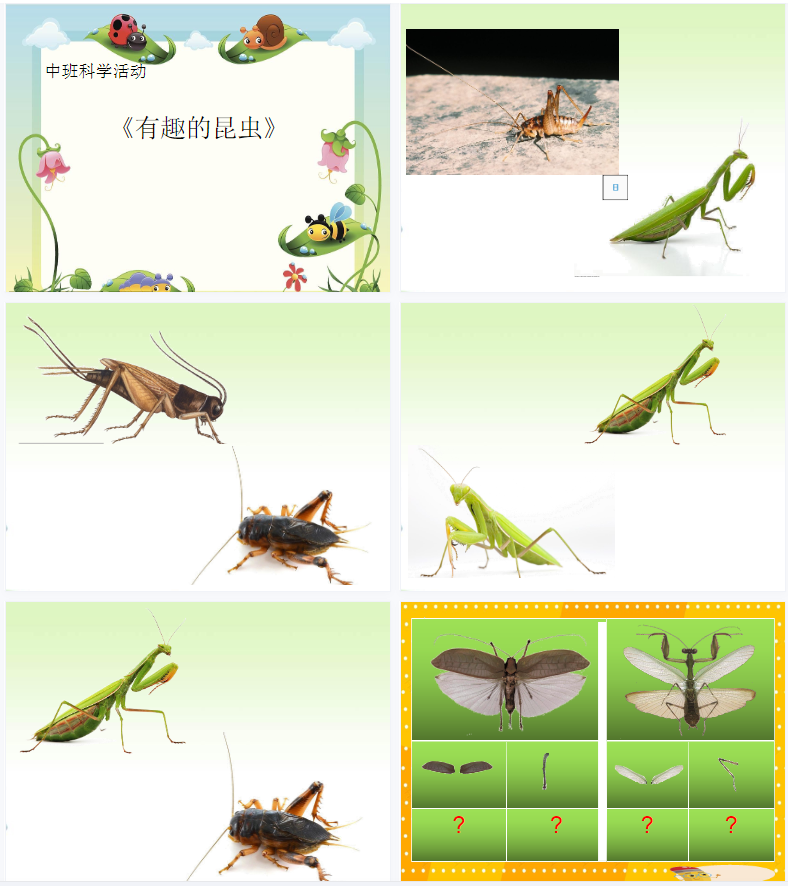 1706421328623303.png image.png