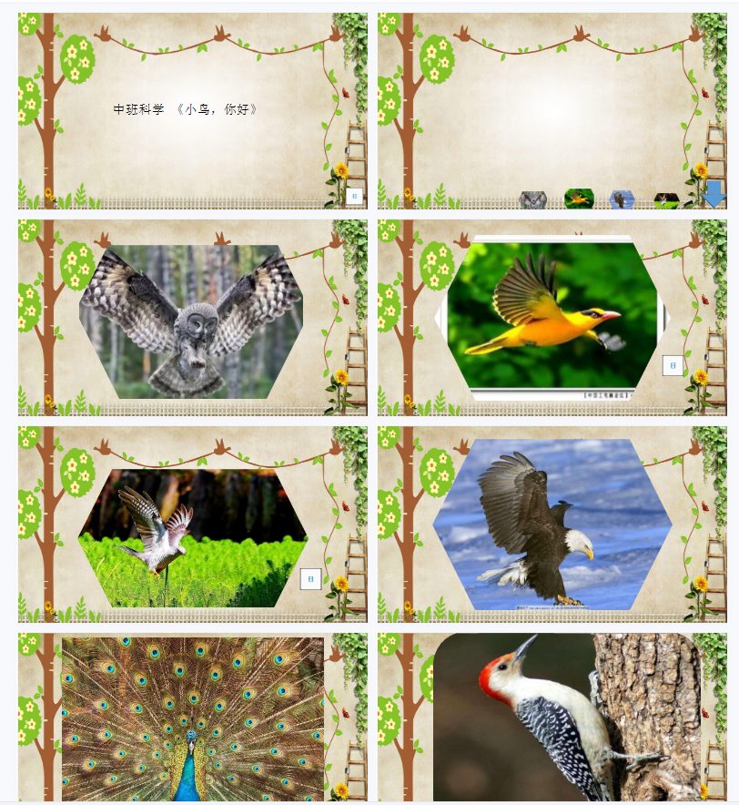 1706422837558264.png image.png