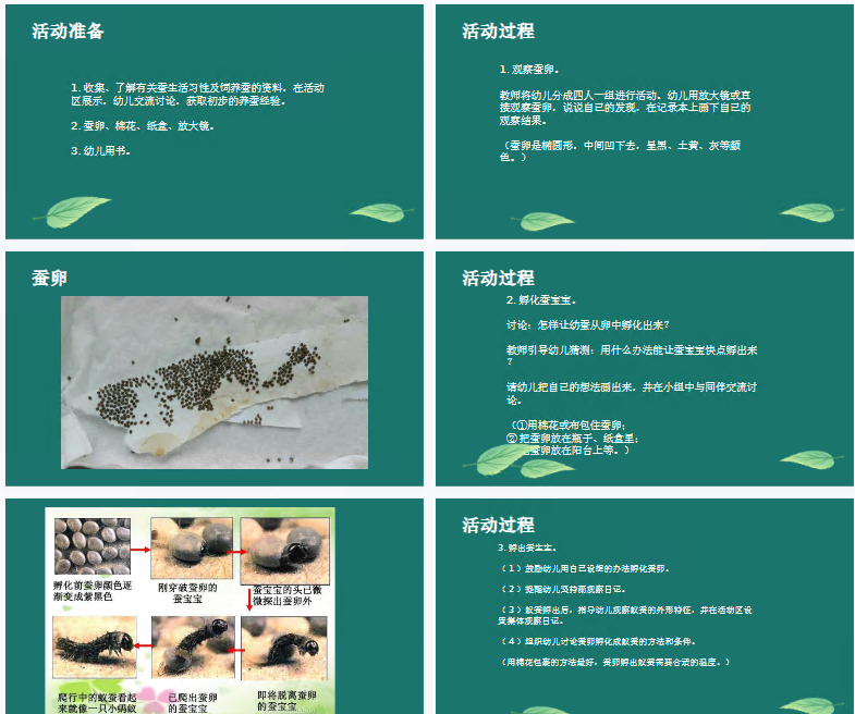 1710915465499823.png image.png