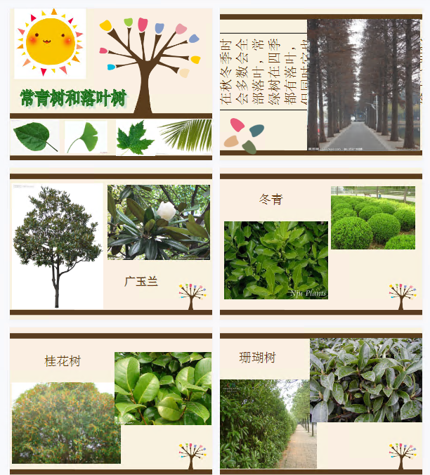 1710916764483354.png image.png