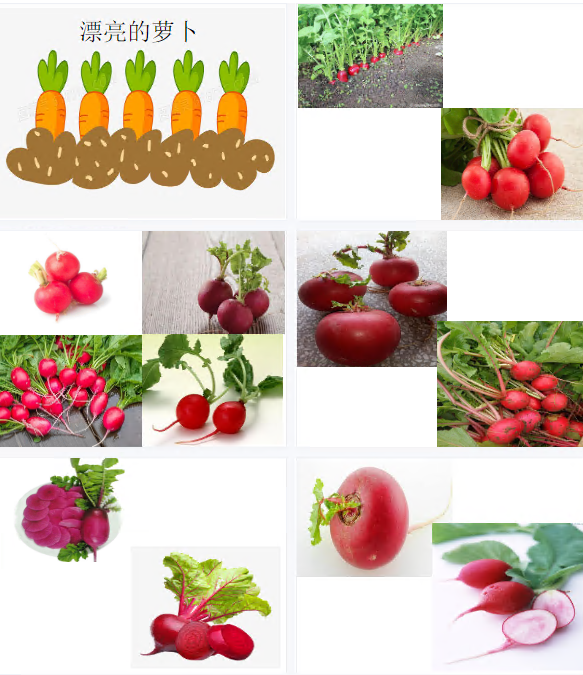 1712470627779516.png image.png