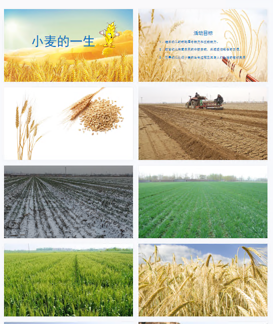 1712731525370476.png image.png